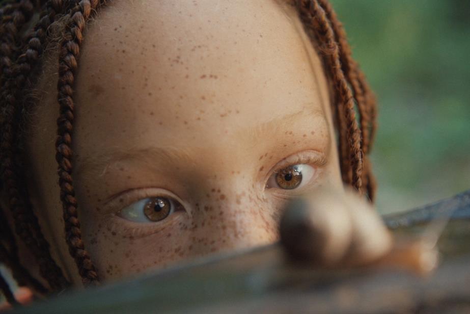 Child looking at snail 