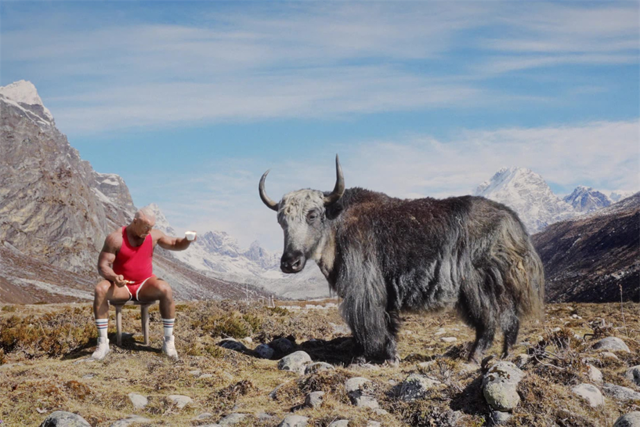 A man sits next to a yak